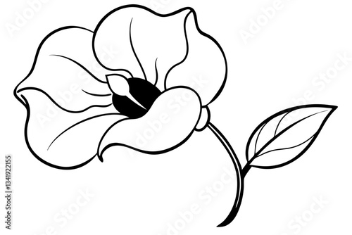 sweet pea flower line art silhouette vector illustration