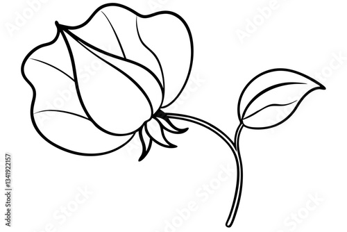 sweet pea flower line art silhouette vector illustration