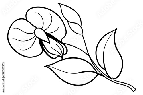 sweet pea flower line art silhouette vector illustration