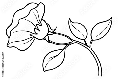 sweet pea flower line art silhouette vector illustration