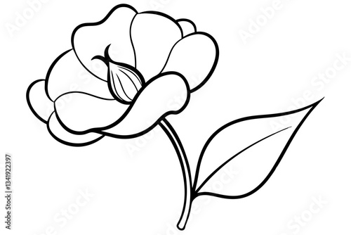 sweet pea flower line art silhouette vector illustration