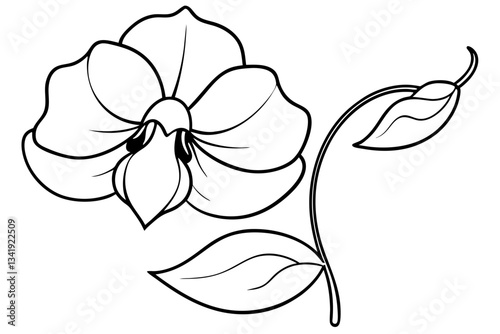 sweet pea flower line art silhouette vector illustration