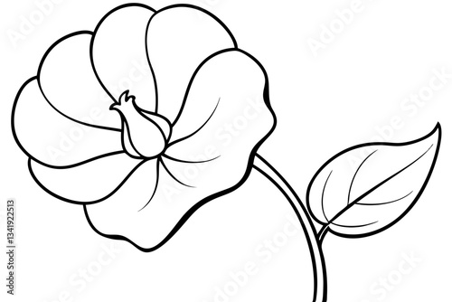 sweet pea flower line art silhouette vector illustration