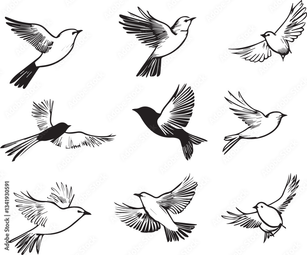 Obraz premium Set of vector birds black and white