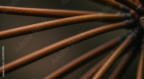 Close-up of Brown Bamboo Sticks Forming a Natural Pattern in Soft Light