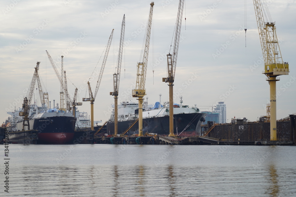Fototapeta premium cranes in harbor