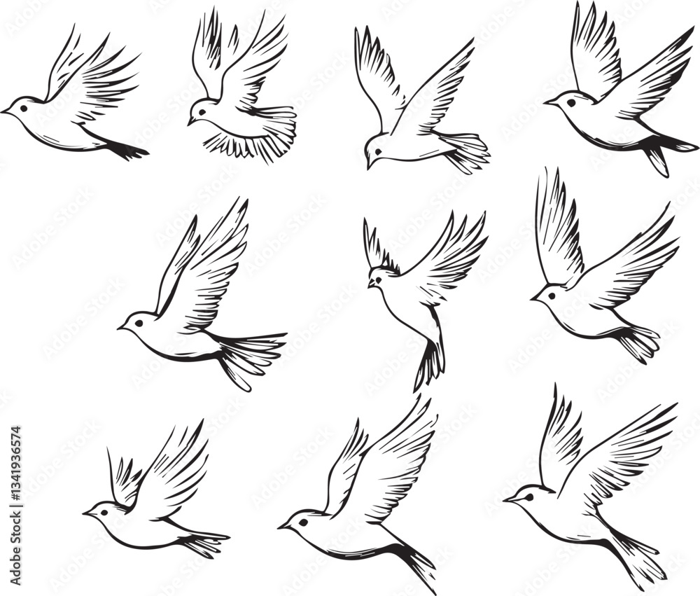 Sparrow Birds line icons Sparrow Birds line icons