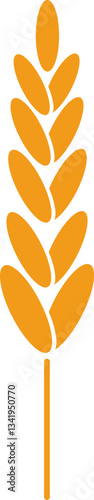 Stylized drawing of wheat stalk with grains representing agriculture, farming, healthy food and organic products, isolated vector illustration