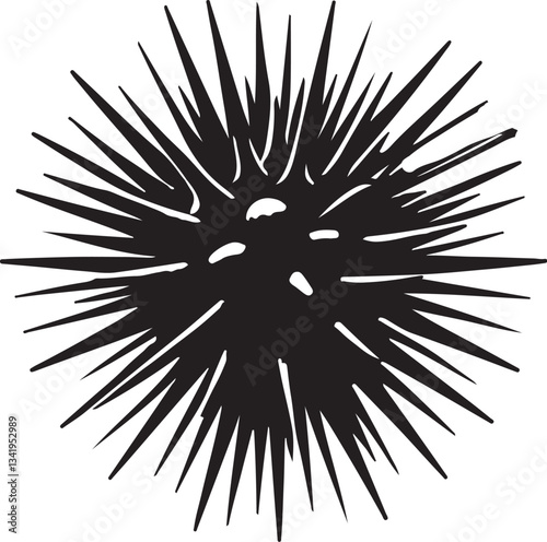 Close-Up of a Spiny Sea Urchin on Ocean Floor – Marine Life and Underwater Theme