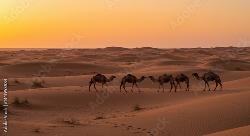 Camels walking through vast desert sands at sunset, serene landscape