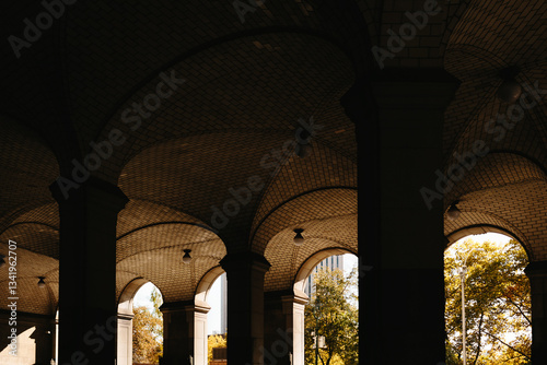Architecture of dimly lit arched ceiling with columns in New York