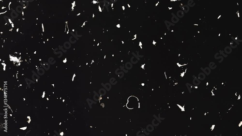 Dust, Dirt, Hair, Scratches And Debris On Black Background