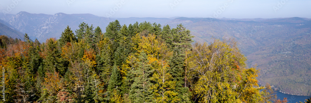 Scenic mountain landscape with lush autumnal forest, nature retreat, fall foliage season, serene wilderness vista Scenic mountain landscape with lush autumnal forest, nature retreat, fall foliage season, serene wilderness vista
