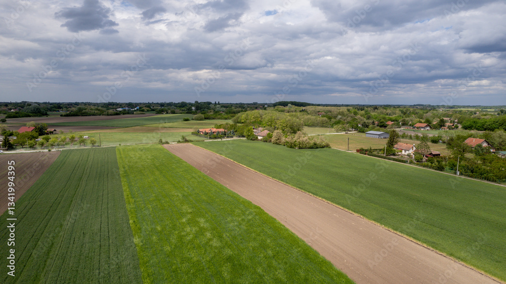 Scenic rural landscape with lush green fields under cloudy sky, springtime agriculture, countryside tranquility Scenic rural landscape with lush green fields under cloudy sky, springtime agriculture, countryside tranquility