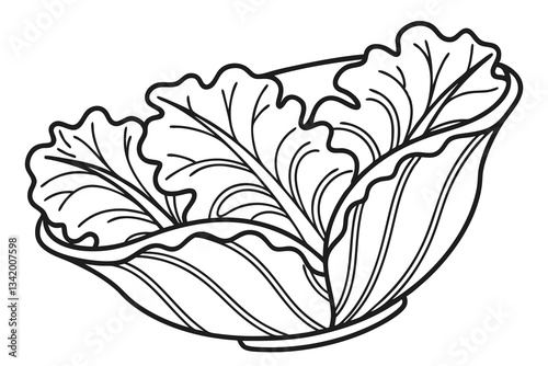 Vintage Cabbageware Illustration