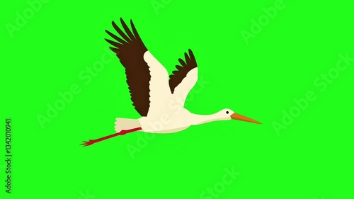 Simple animation of flying stork with green screen
