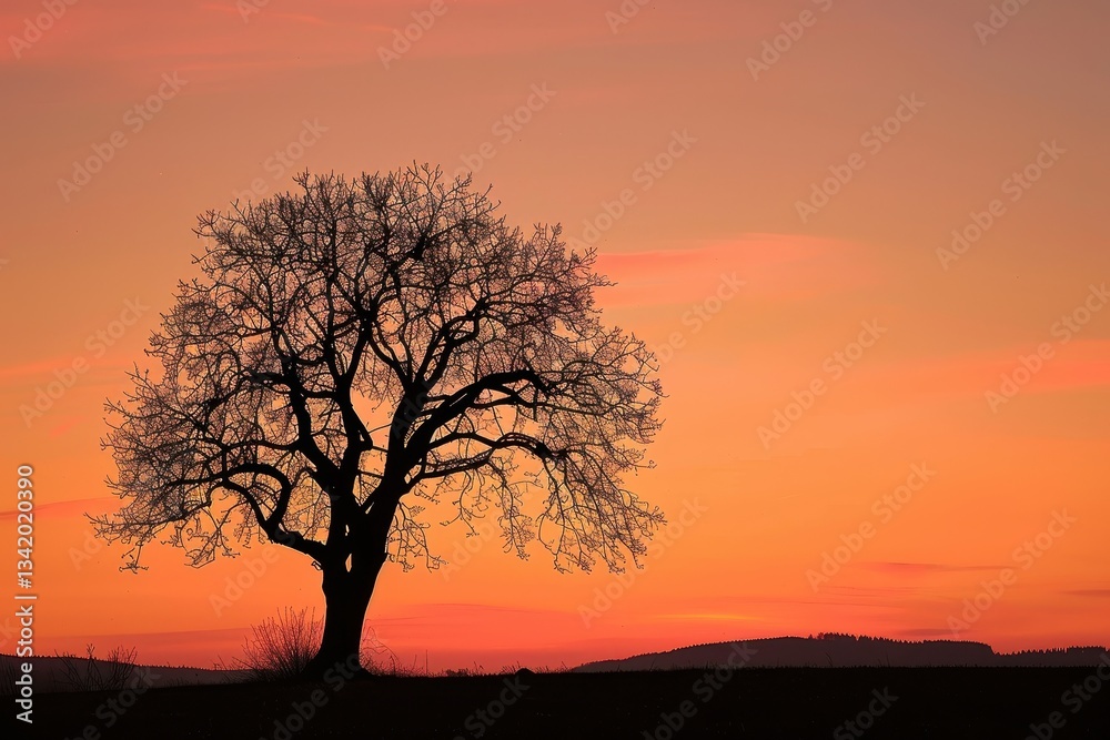 Silhouette of a tree against a vibrant orange-pink sunset sky Silhouette of a tree against a vibrant orange-pink sunset sky