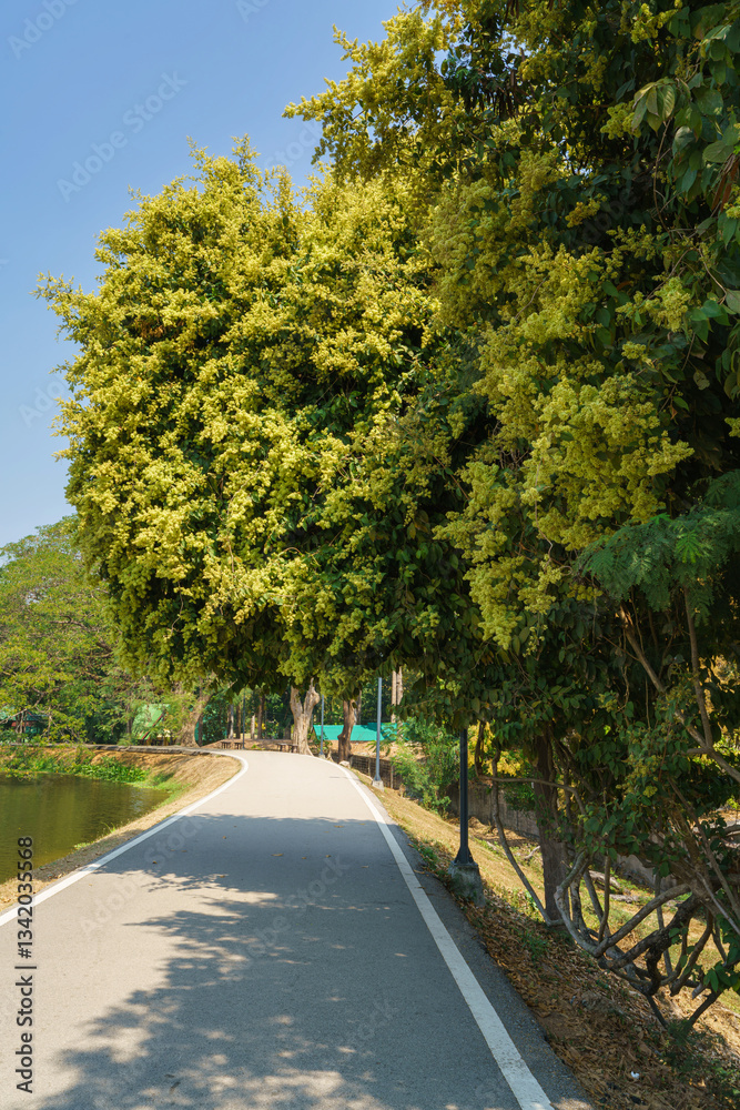 a public place leisure travel landscape lake views at Ang Kaew Chiang Mai University and Doi Suthep nature forest Mountain views spring cloudy sky background with white cloud.