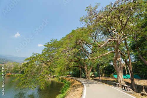 Obraz na płótnie a public place leisure travel landscape lake views at Ang Kaew Chiang Mai University and Doi Suthep nature forest Mountain views spring cloudy sky background with white cloud. w salonie