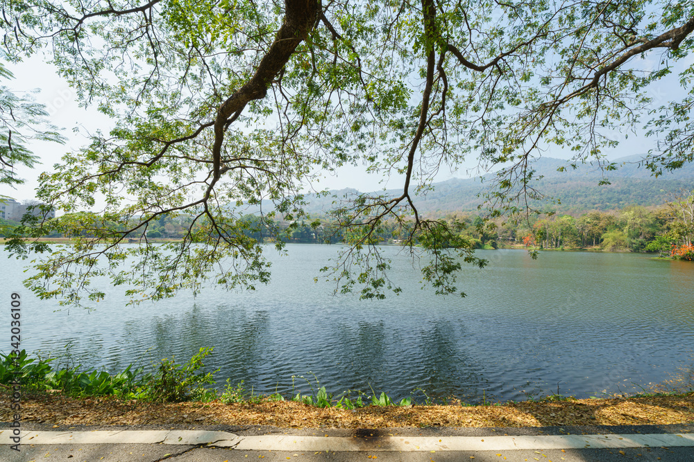 a public place leisure travel landscape lake views at Ang Kaew Chiang Mai University and Doi Suthep nature forest Mountain views spring cloudy sky background with white cloud.