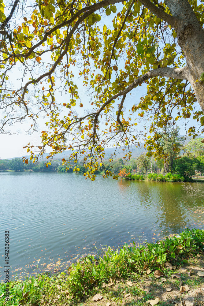 a public place leisure travel landscape lake views at Ang Kaew Chiang Mai University and Doi Suthep nature forest Mountain views spring cloudy sky background with white cloud.