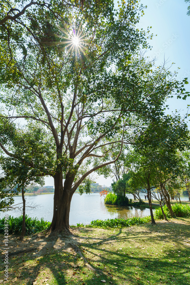 a public place leisure travel landscape lake views at Ang Kaew Chiang Mai University and Doi Suthep nature forest Mountain views spring cloudy sky background with white cloud.