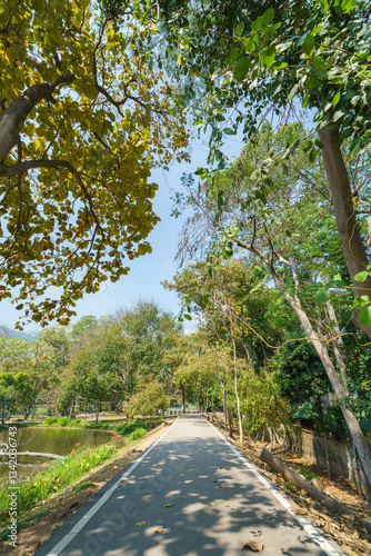 Obraz na płótnie a public place leisure travel landscape lake views at Ang Kaew Chiang Mai University and Doi Suthep nature forest Mountain views spring cloudy sky background with white cloud. w salonie