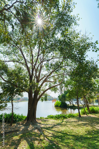 Obraz na płótnie a public place leisure travel landscape lake views at Ang Kaew Chiang Mai University and Doi Suthep nature forest Mountain views spring cloudy sky background with white cloud. w salonie