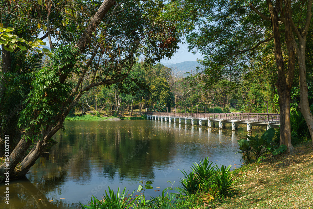 Bridge Road pathway in the park for relaxing walking jogging landscape lake views in nature forest Mountain views spring blue sky background with white cloud.