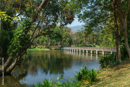 Obraz na płótnie Bridge Road pathway in the park for relaxing walking jogging landscape lake views in nature forest Mountain views spring blue sky background with white cloud. w salonie