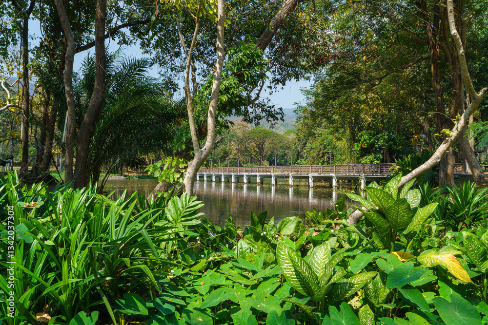 Bridge Road pathway in the park for relaxing walking jogging landscape lake views in nature forest Mountain views spring blue sky background with white cloud.