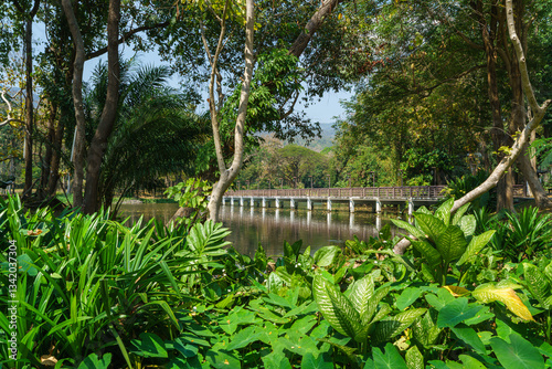 Bridge Road pathway in the park for relaxing walking jogging landscape lake views in nature forest Mountain views spring blue sky background with white cloud.