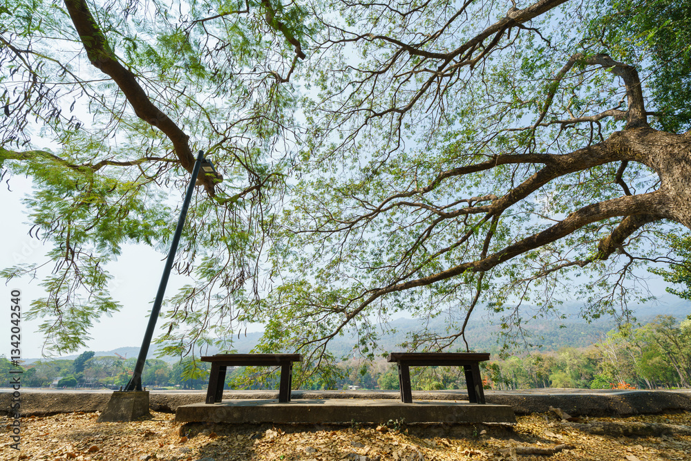Two chairs empty on green grass at park in nature forest Mountain views spring bright blue sky weather nature abstract clear texture with white clouds summer light sun day.