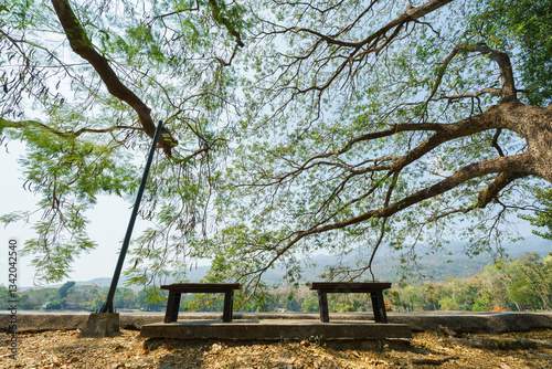 Obraz na płótnie Two chairs empty on green grass at park in nature forest Mountain views spring bright blue sky weather nature abstract clear texture with white clouds summer light sun day. w salonie