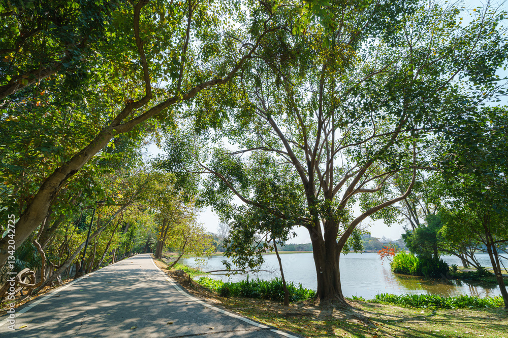 a public place leisure travel landscape lake views at Ang Kaew Chiang Mai University and Doi Suthep nature forest Mountain views spring cloudy sky background with white cloud.