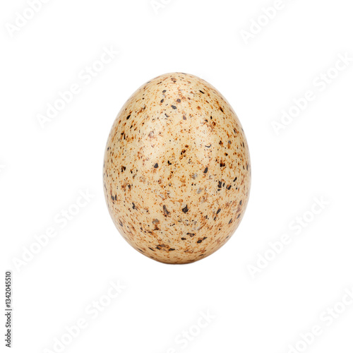 Delicate pheasant egg with light brown color and subtle speckles on a white background Perfect for nature and agriculture concepts