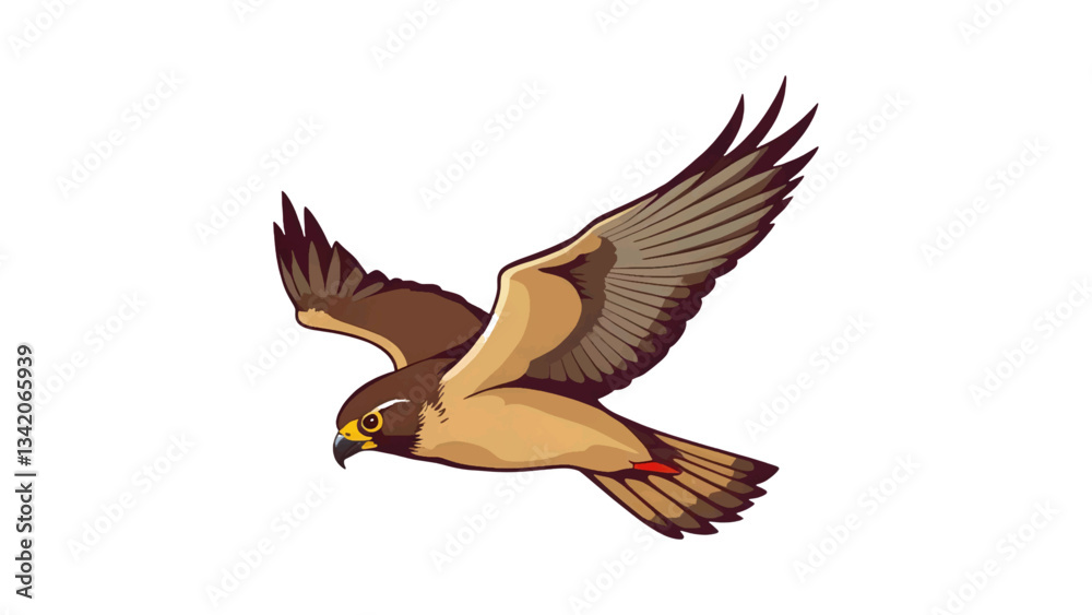 Fototapeta premium Flying Hawk Vector Illustration on transparent background 