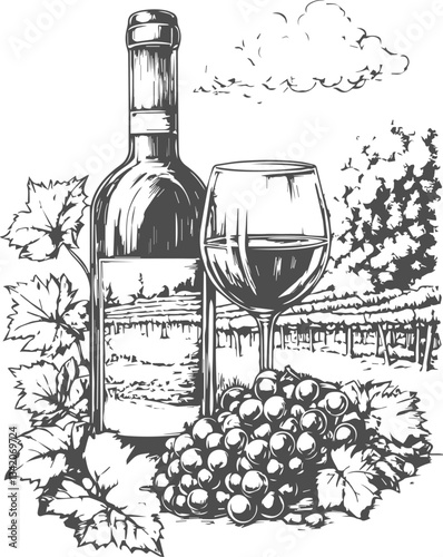 Vector illustration of wine yard. Vinery concept