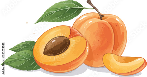 Apricot vector design, Apricot with Apricot Slice in Isolated background Illustration vector design