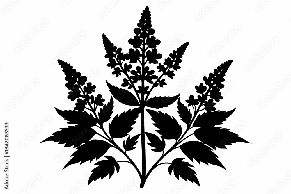 aster flowe line art silhouette vector illustration aster flowe line art silhouette vector illustration