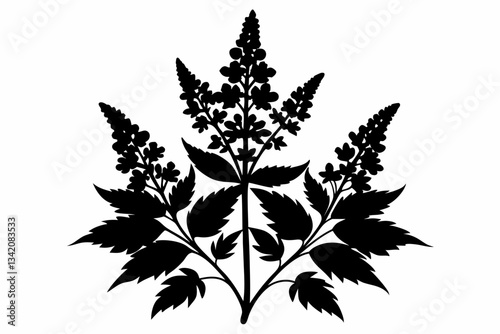 aster flowe line art silhouette vector illustration