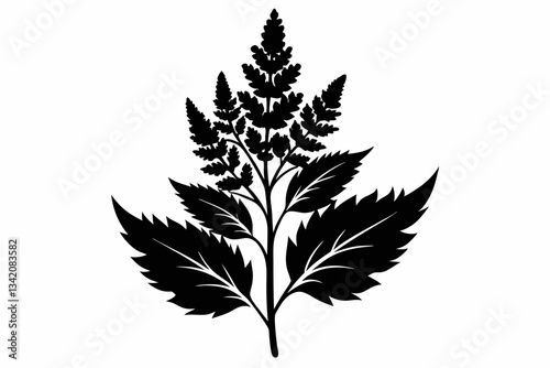 aster flowe line art silhouette vector illustration