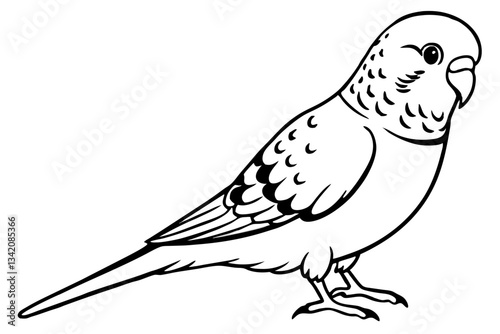 budgerigar line art silhouette vector illustration