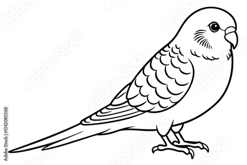 budgerigar line art silhouette vector illustration