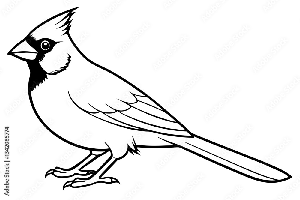 Fototapeta premium cardinal line art silhouette vector illustration