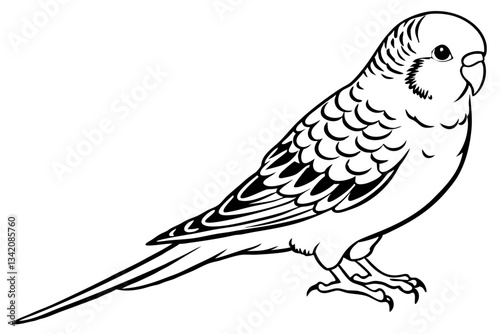 budgerigar line art silhouette vector illustration