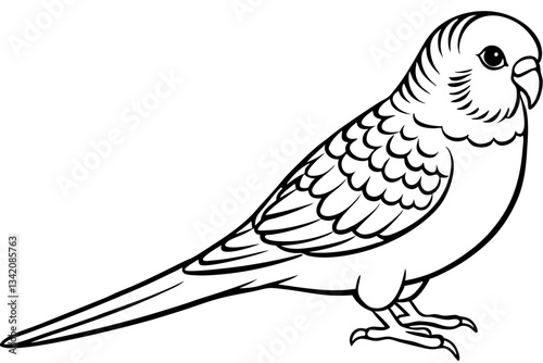 budgerigar line art silhouette vector illustration
