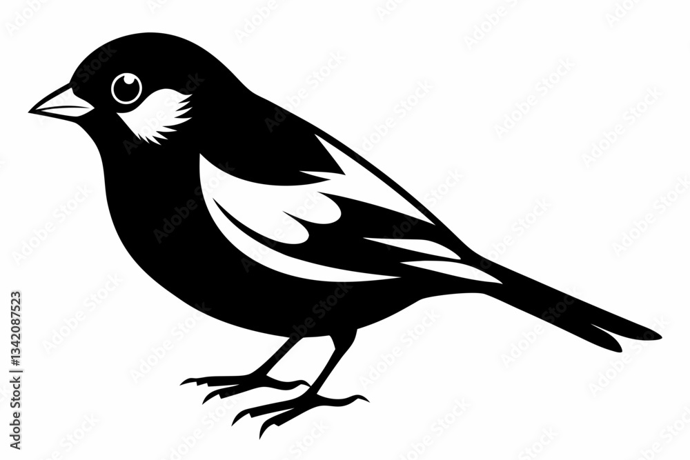 Fototapeta premium chaffinch line art silhouette vector illustration