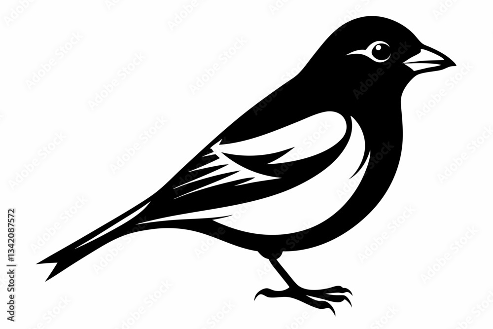 Fototapeta premium chaffinch line art silhouette vector illustration