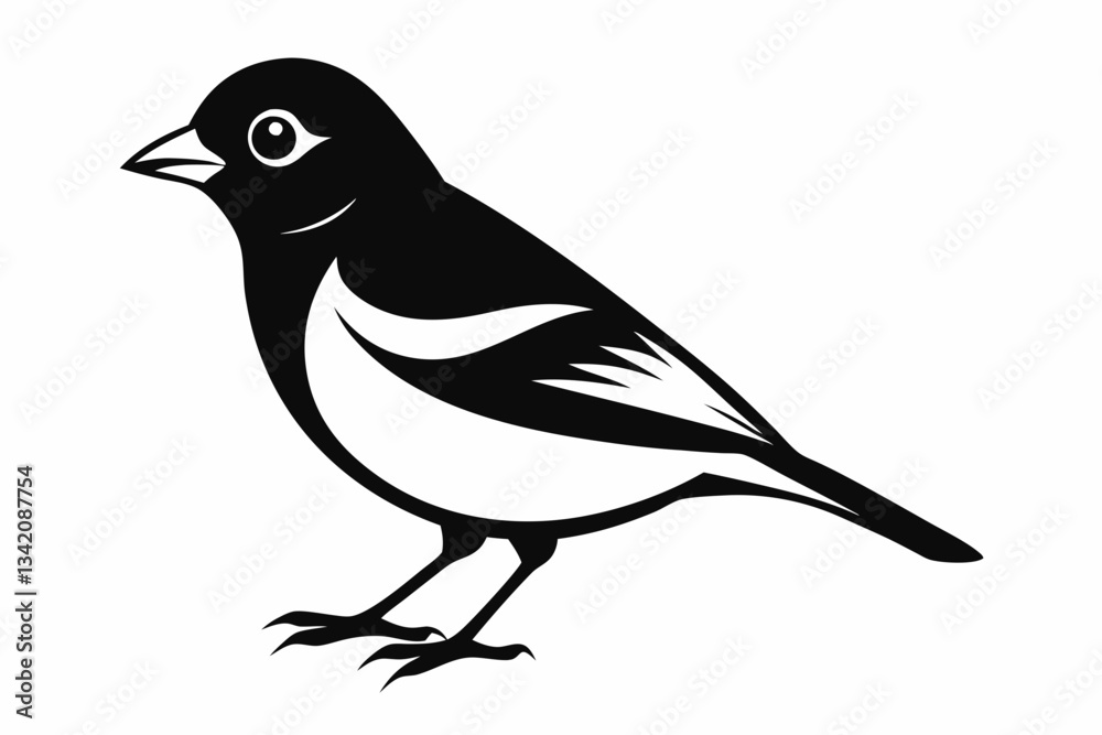 Fototapeta premium chaffinch line art silhouette vector illustration